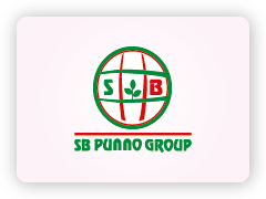 Sb Punno Group